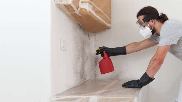 Professional Bathroom Mold Removal technician working in Gaithersburg, MD