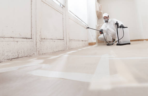 24/7 Emergency Bathroom Mold Removal experts in Gaithersburg, MD